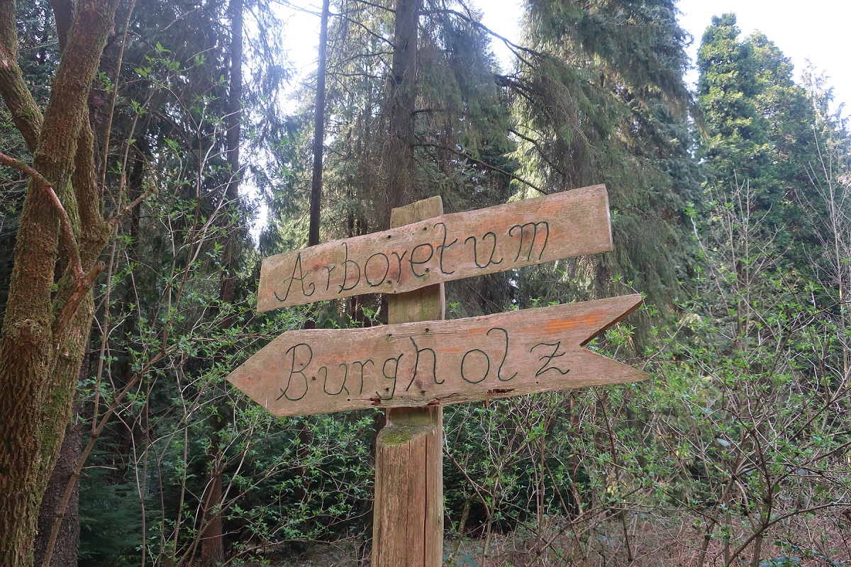 Wandern1